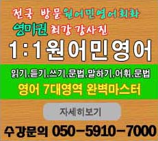 영어과외 1대1원어민영어회화